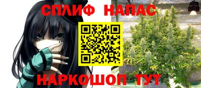 apvp Будённовск